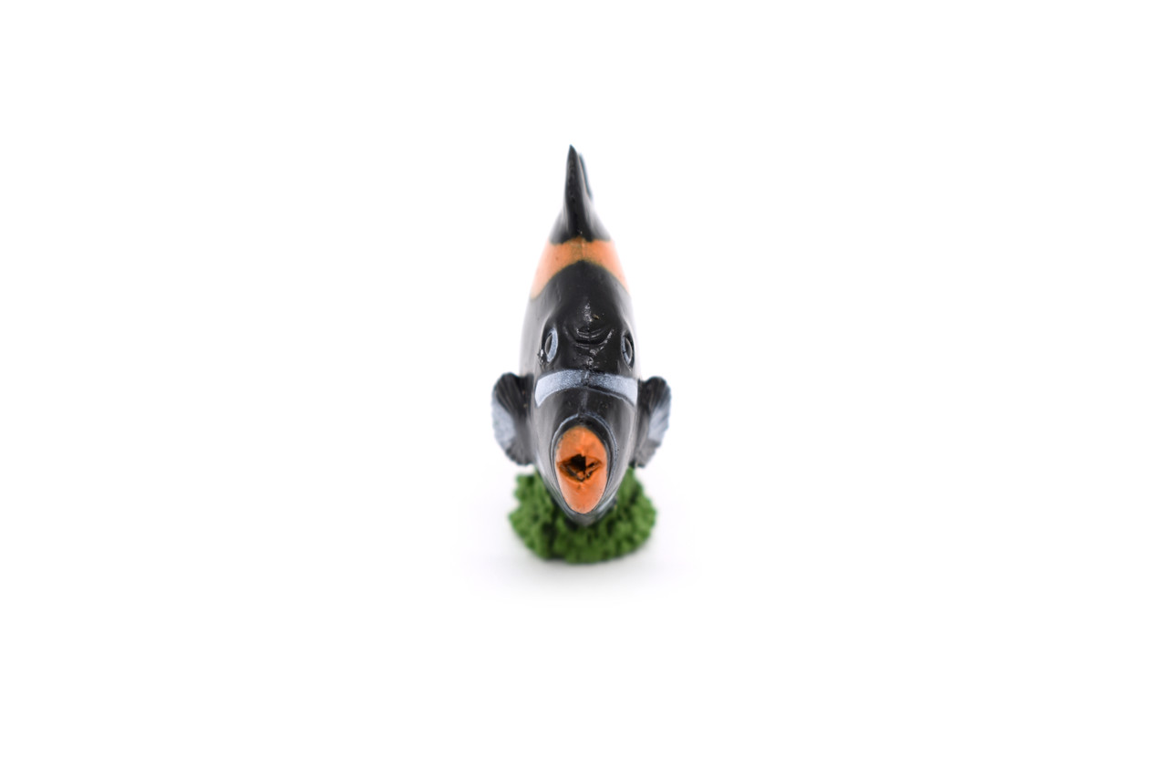 Clown Triggerfish, Tropical, Rubber Fish Design, Realistic Figure, Educational, Figure, Lifelike, Toy Model, Figurine, Replica, Gift,       2 1/2"      F1789 B145