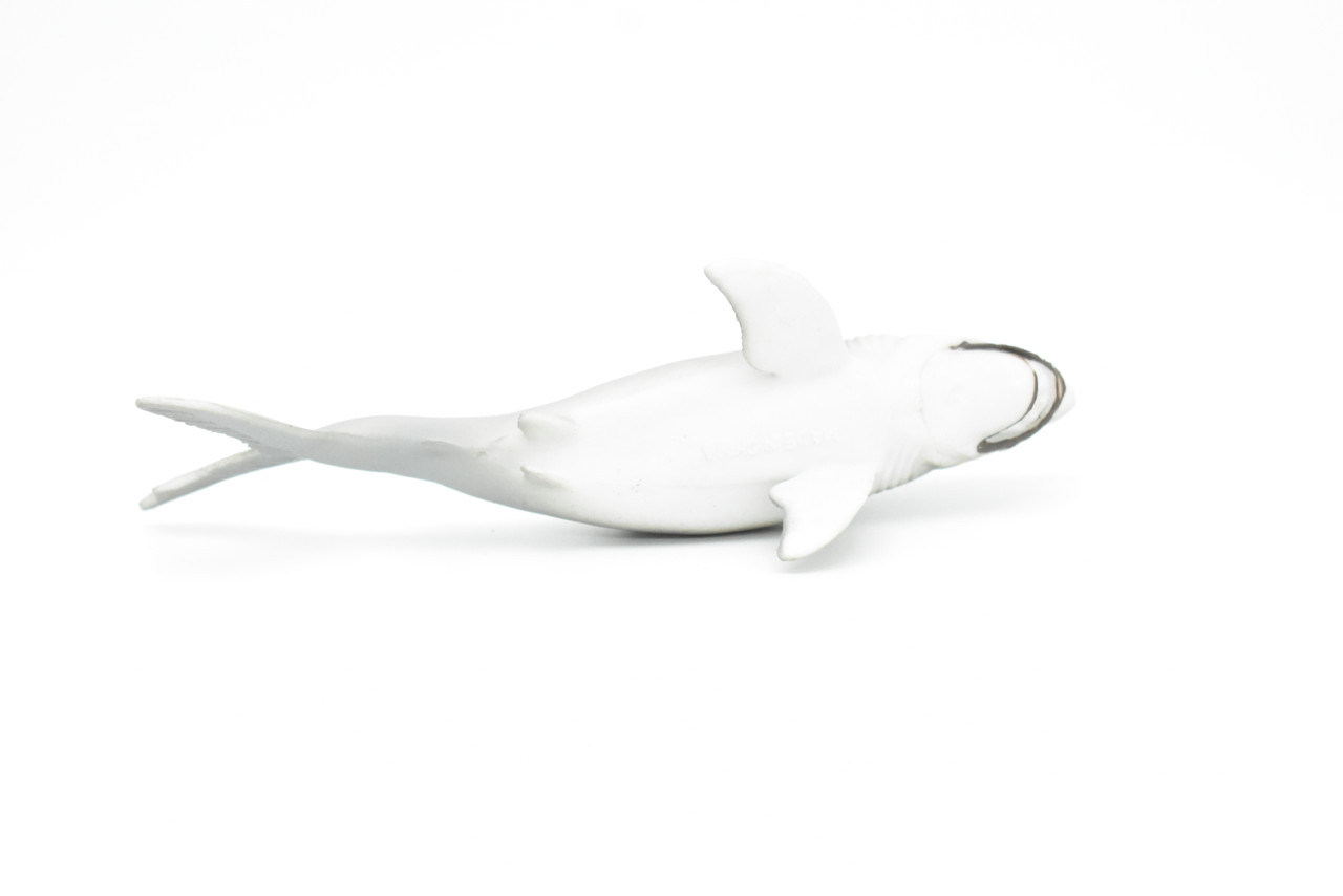 Great White Shark, Very Nice Hollow Rubber Replica     6"   -   F1899 B20