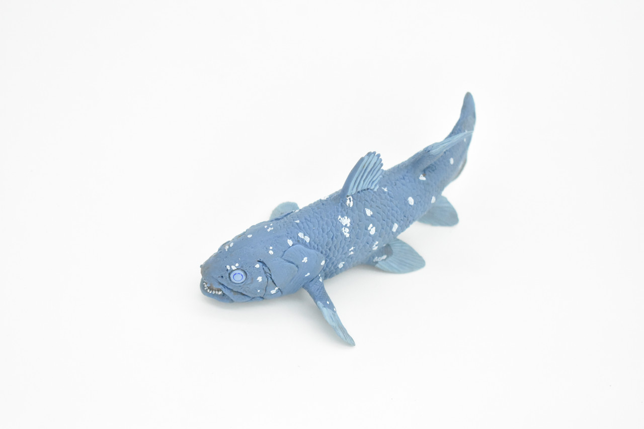 Coelacanth, Fish, Museum Quality Plastic Reproduction Hand Painted      5.5"      F1949 B14