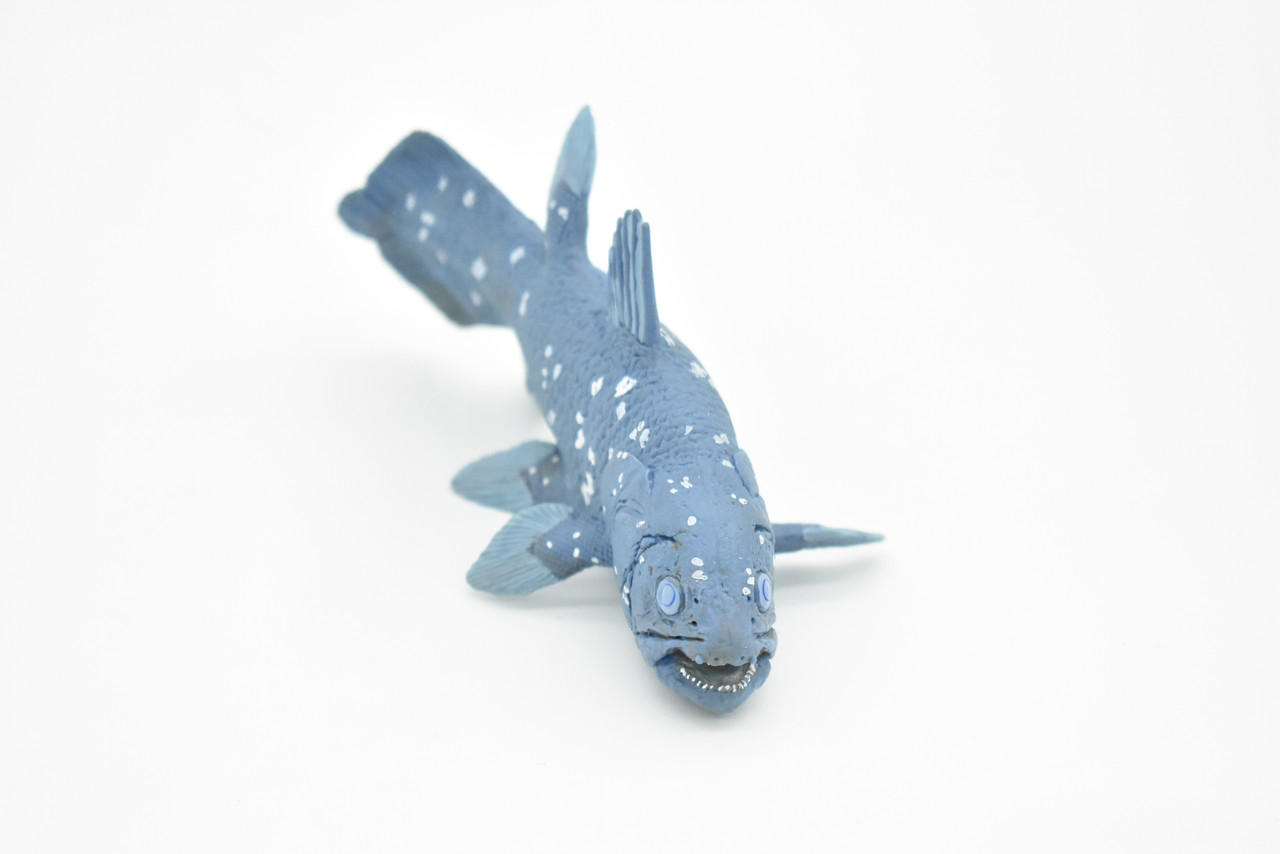 Coelacanth, Fish, Museum Quality Plastic Reproduction Hand Painted      5.5"      F1949 B14