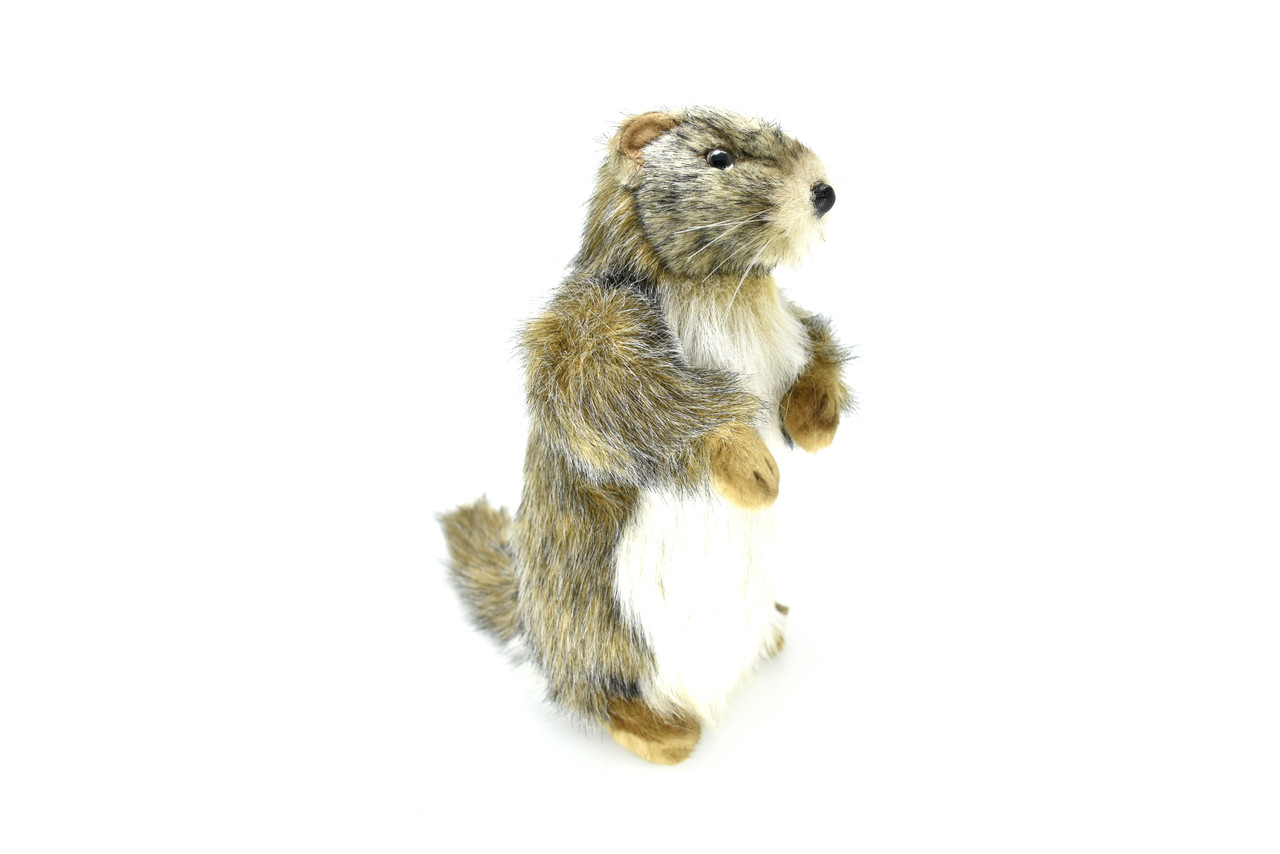 stuffed groundhog dog toy