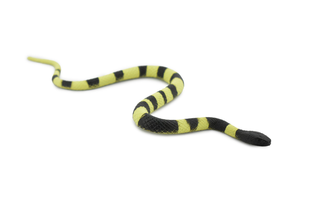 Snake, Banded Krait Snake, Rubber Reptile, Educational, Realistic Hand Painted, Figure, Lifelike Model, Figurine, Replica, Gift,     6"      F2040 B39