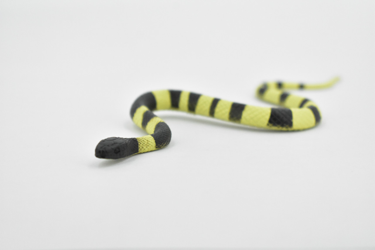 Snake, Banded Krait Snake, Rubber Reptile, Educational, Realistic Hand Painted, Figure, Lifelike Model, Figurine, Replica, Gift,     6"      F2040 B39