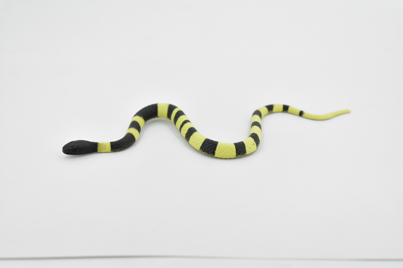 Snake, Banded Krait Snake, Rubber Reptile, Educational, Realistic Hand Painted, Figure, Lifelike Model, Figurine, Replica, Gift,     6"      F2040 B39