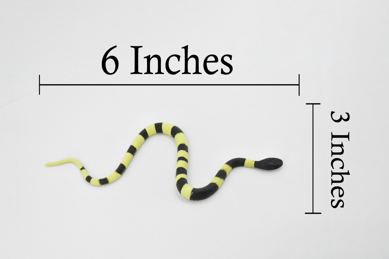 Snake, Banded Krait Snake, Rubber Reptile, Educational, Realistic Hand Painted, Figure, Lifelike Model, Figurine, Replica, Gift,     6"      F2040 B39