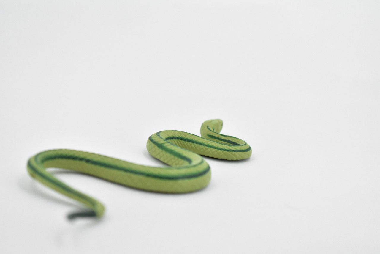 Snake, Baron's Green Racer Snake , Rubber Reptile, Educational, Realistic Hand Painted, Figure, Lifelike Model, Figurine, Replica, Gift,     5"      F2041 B39