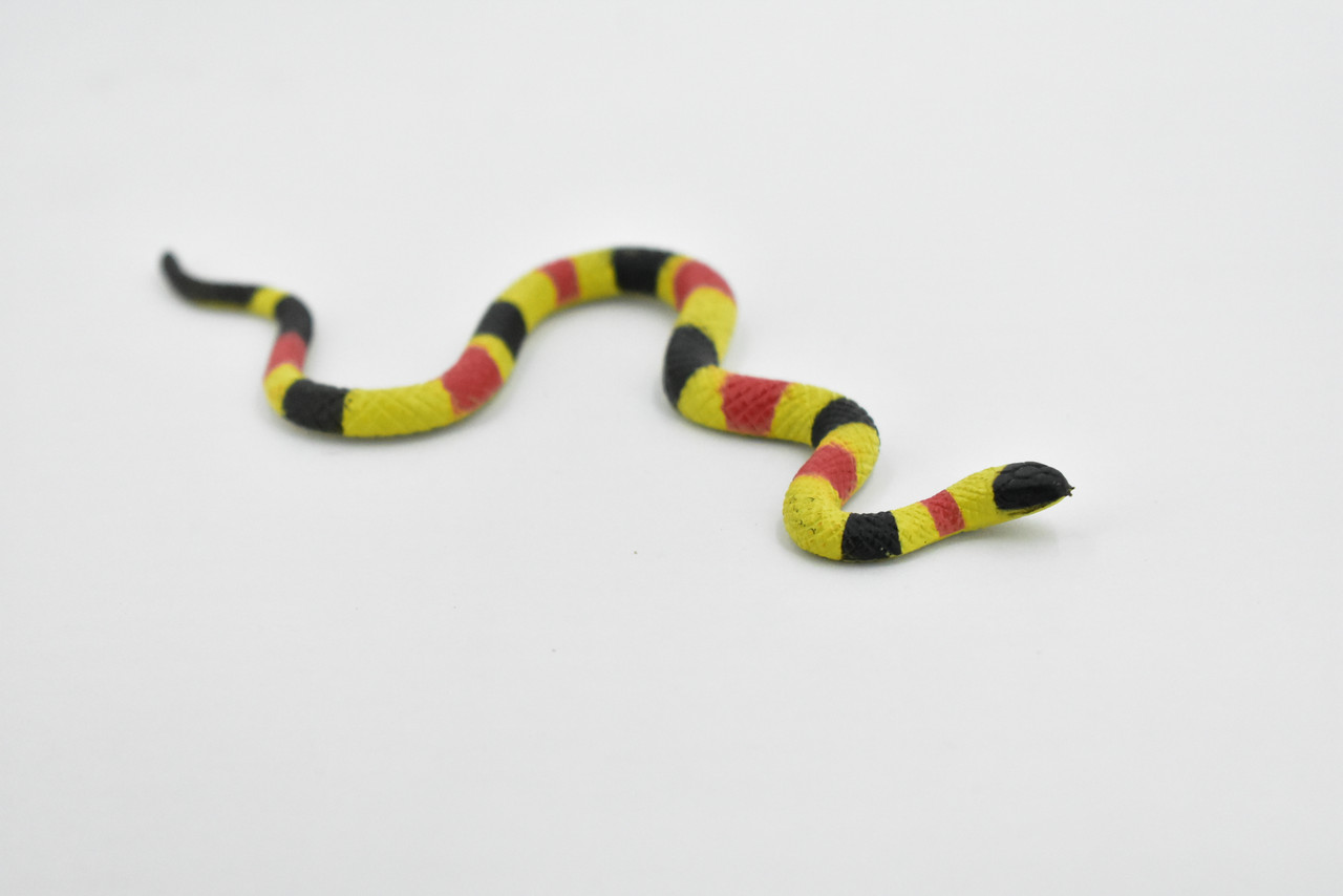 Snake, Coral Snake, Rubber Reptile, Educational, Realistic Hand Painted, Figure, Lifelike Model, Figurine, Replica, Gift,       5 1/2"        F2042 B39