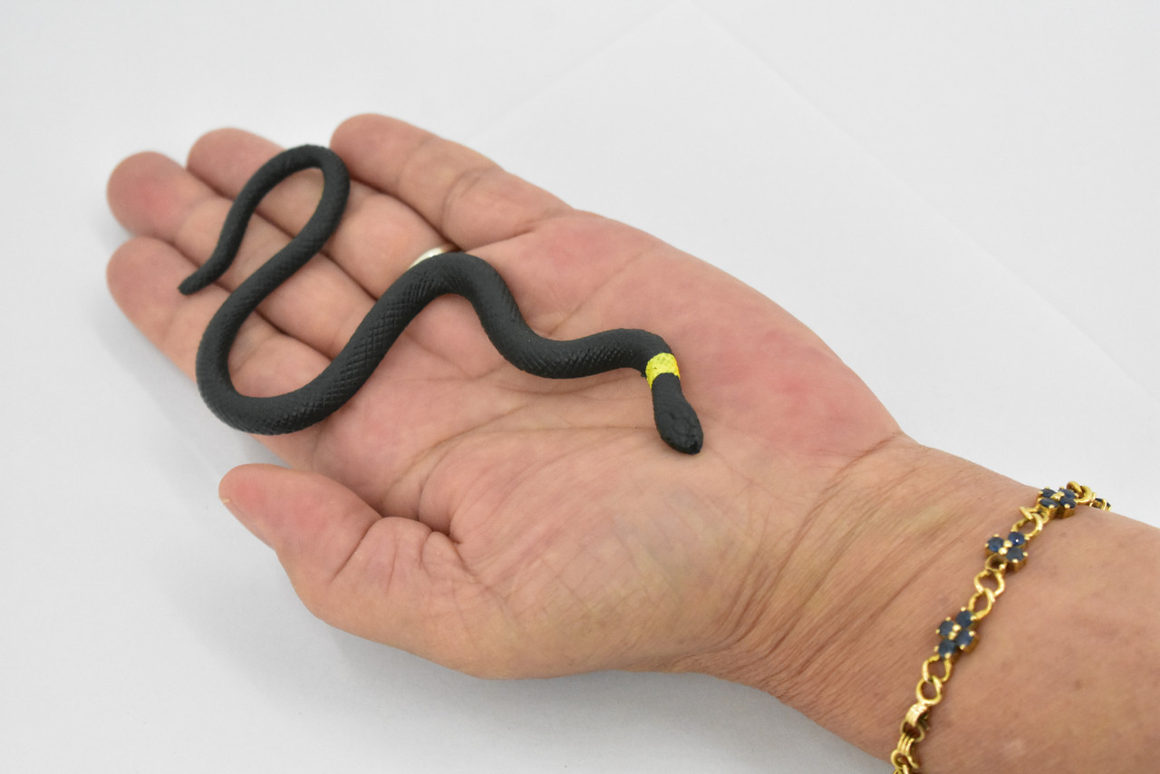 Snake, Northern Ringneck Snake, Rubber Reptile, Educational, Realistic Hand Painted, Figure, Lifelike Model, Figurine, Replica, Gift,     5"    F2045 B39