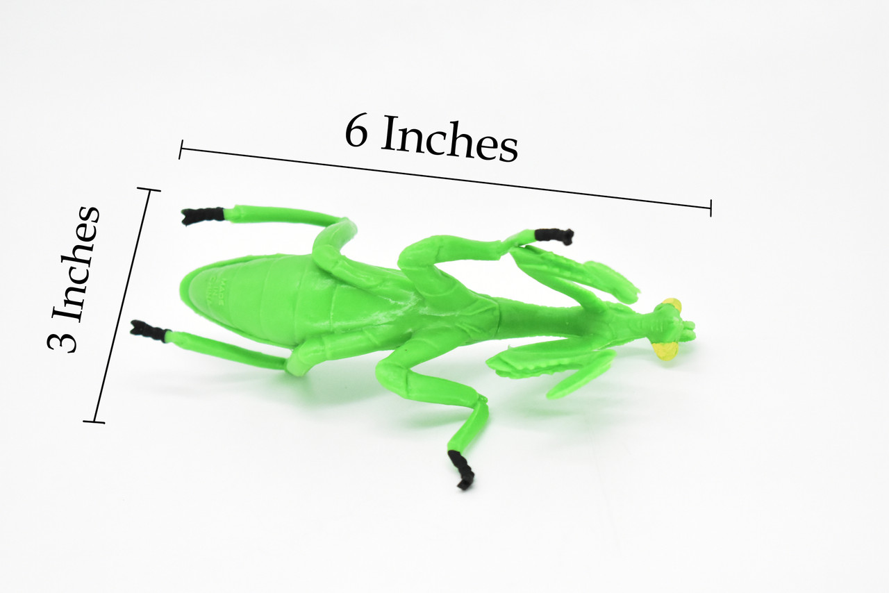 Praying Mantis, Rubber Insect, Toy, Realistic Figure, Model, Replica, Kids Educational Gift,      6"      F2060 B134