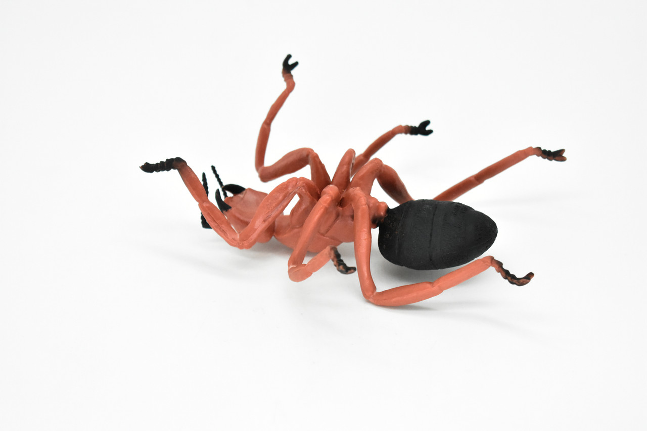 Carpenter Ant, Red Very Nice Rubber Replica   5 inches long   -   F2064 B134