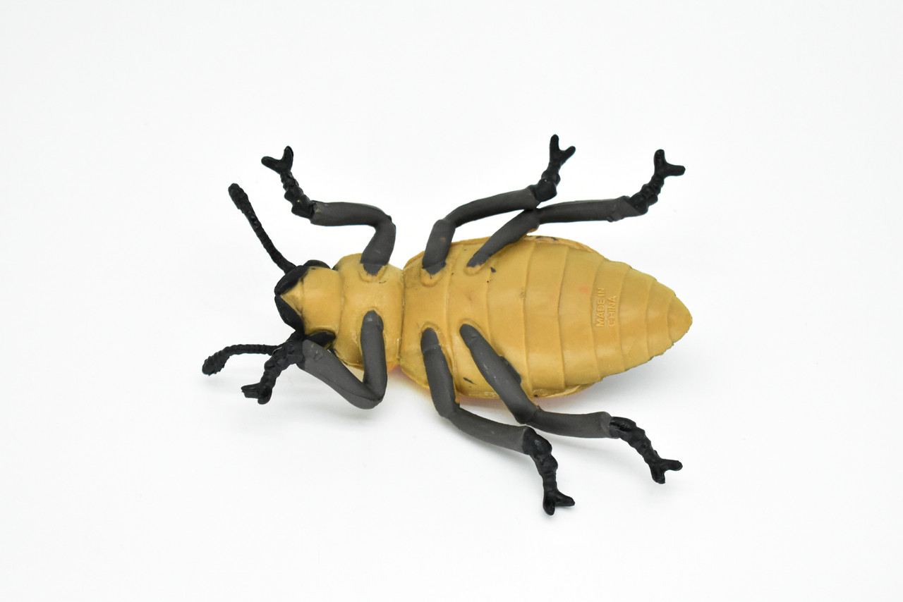 Beetle, June Bug, Red and Yellow, Very Nice Rubber Replica   5"  -   F2067 B133