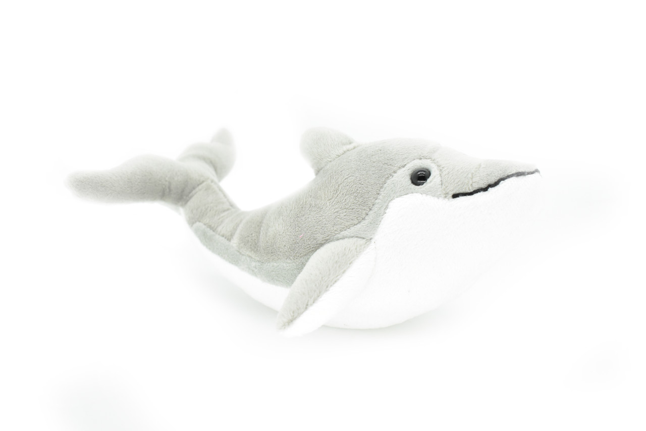 jelly cat dolphin