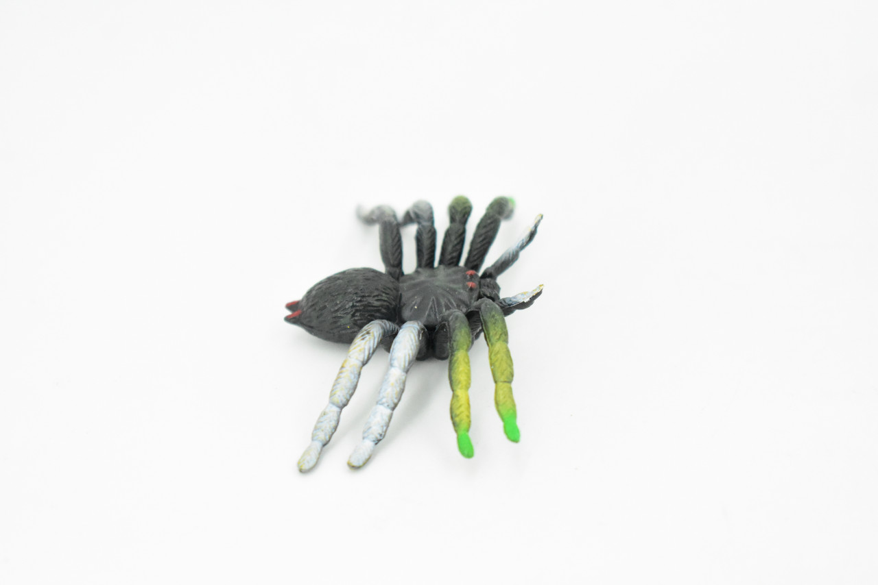 Spider, Garden Spider, Rubber Insect, Realistic Figure, Model, Replica, Kids Educational Gift,      2 1/2"     F2079 B142