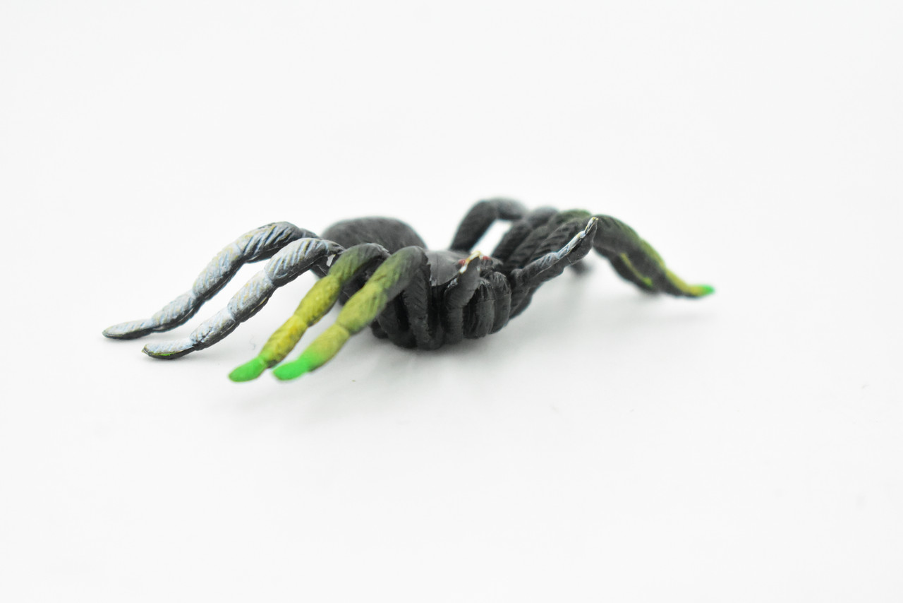 Spider, Garden Spider, Rubber Insect, Realistic Figure, Model, Replica, Kids Educational Gift,      2 1/2"     F2079 B142