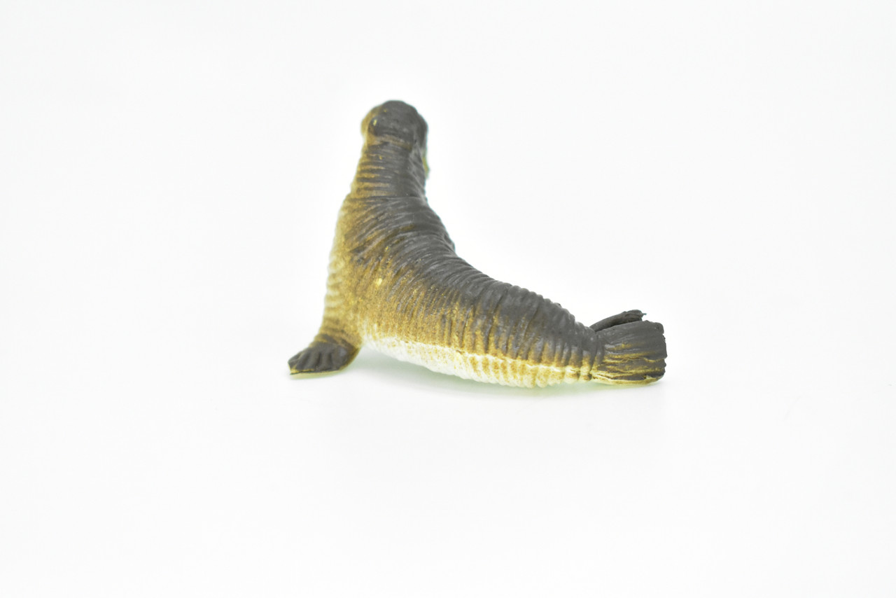 Walrus, Very Nice Plastic Replica    2"  -   F220 B36