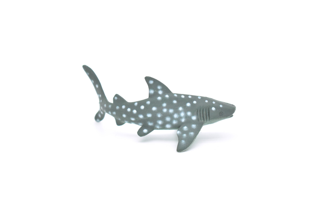 Whale Shark, Curved, Realistic Toy Model Plastic Replica, Kids Educational Gift  3"  F235 B76