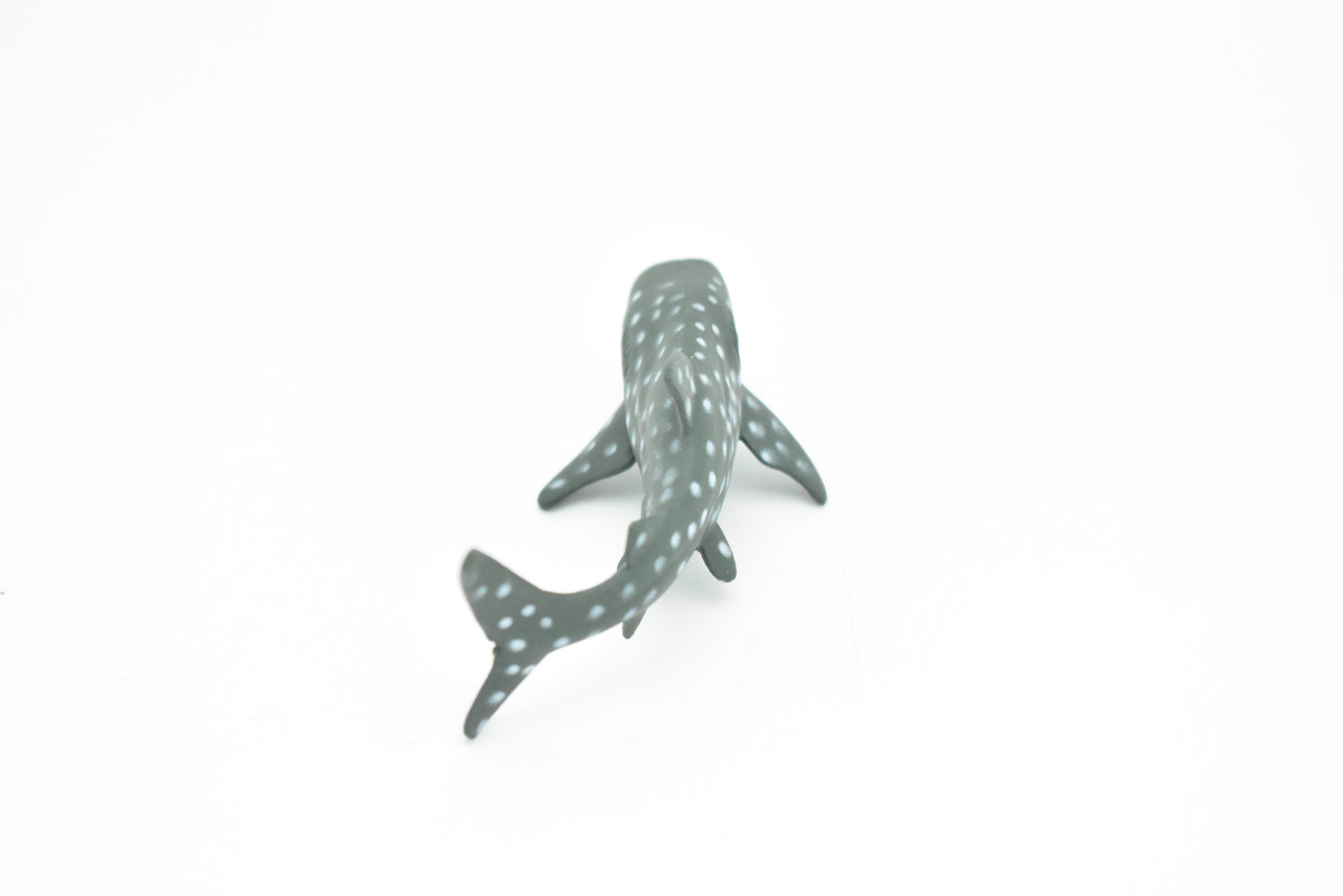 Whale Shark, Curved, Realistic Toy Model Plastic Replica, Kids Educational Gift  3"  F235 B76