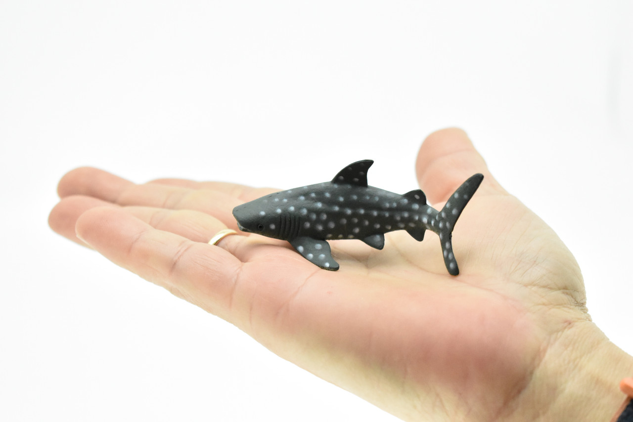 Whale Shark, Curved, Realistic Toy Model Plastic Replica, Kids Educational Gift  3"  F235 B76