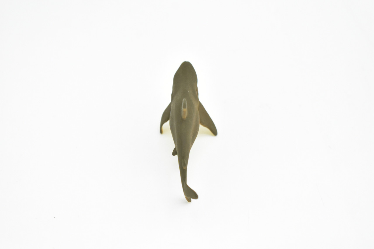 Bull Shark, Very Nice Plastic Replica   2 1/2"  -  F236 B76