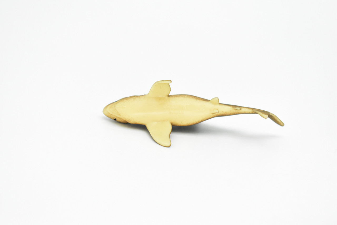 Bull Shark, Very Nice Plastic Replica   2 1/2"  -  F236 B76