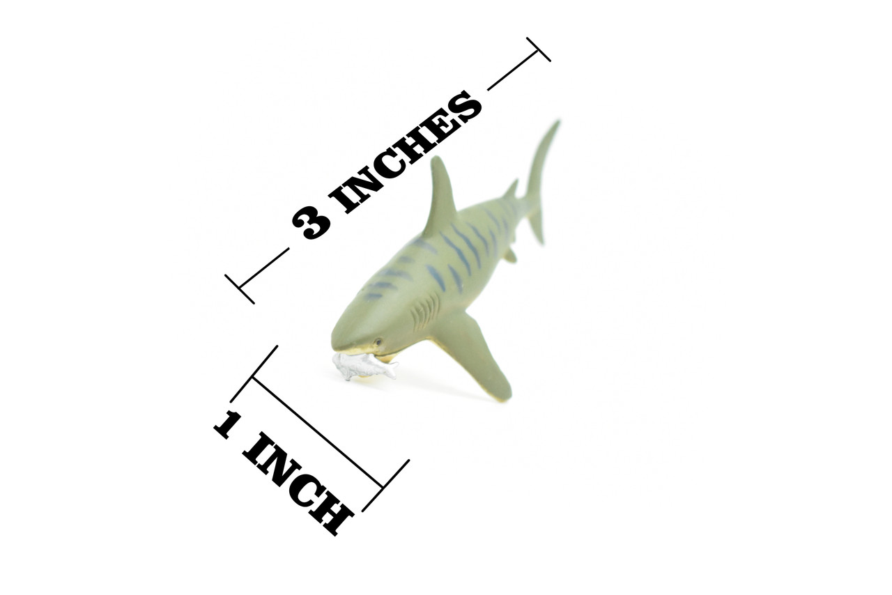 Tiger Shark, With Fish in Mouth, Very Nice Plastic Replica    3"  -   F237 B76