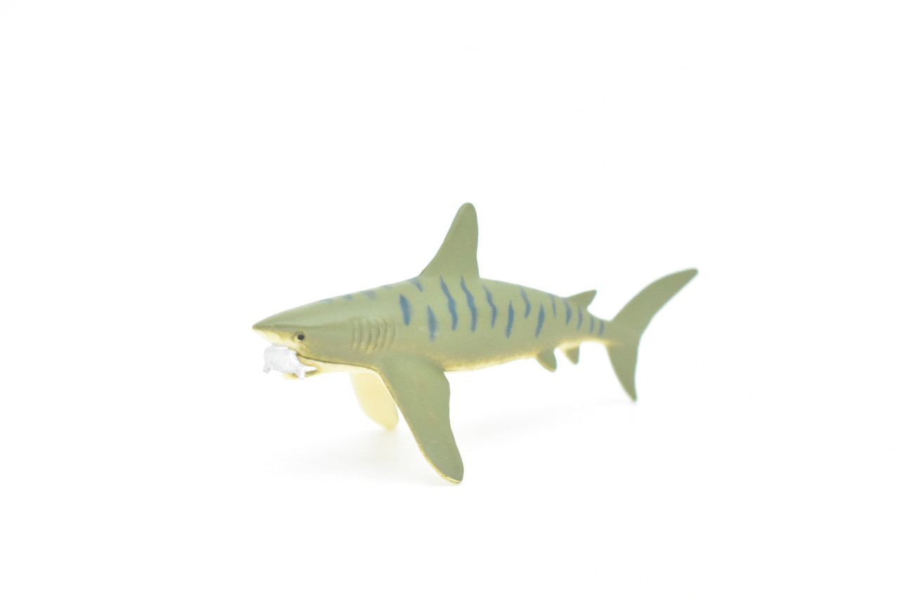 Tiger Shark, With Fish in Mouth, Very Nice Plastic Replica    3"  -   F237 B76