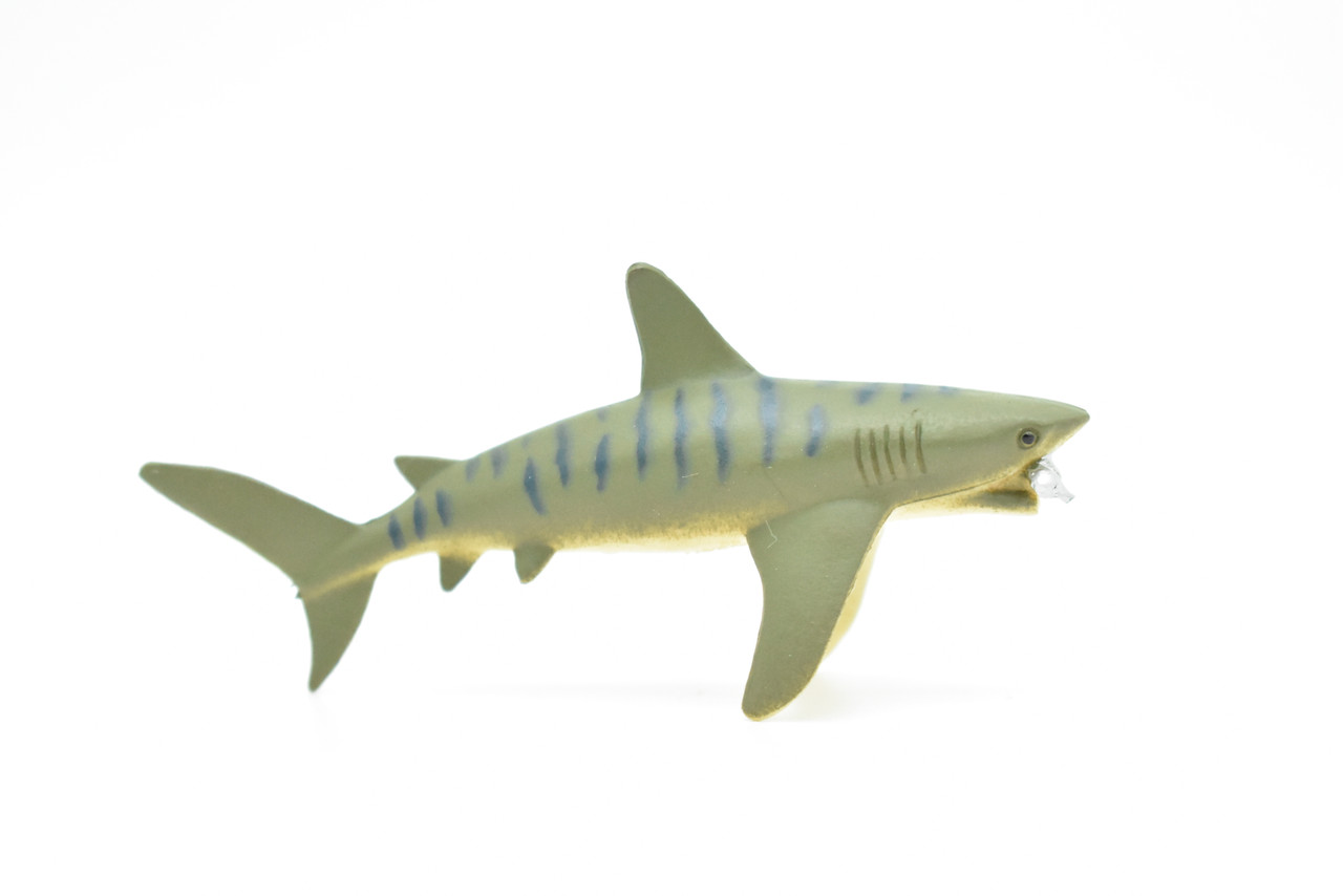 Tiger Shark, With Fish in Mouth, Very Nice Plastic Replica    3"  -   F237 B76