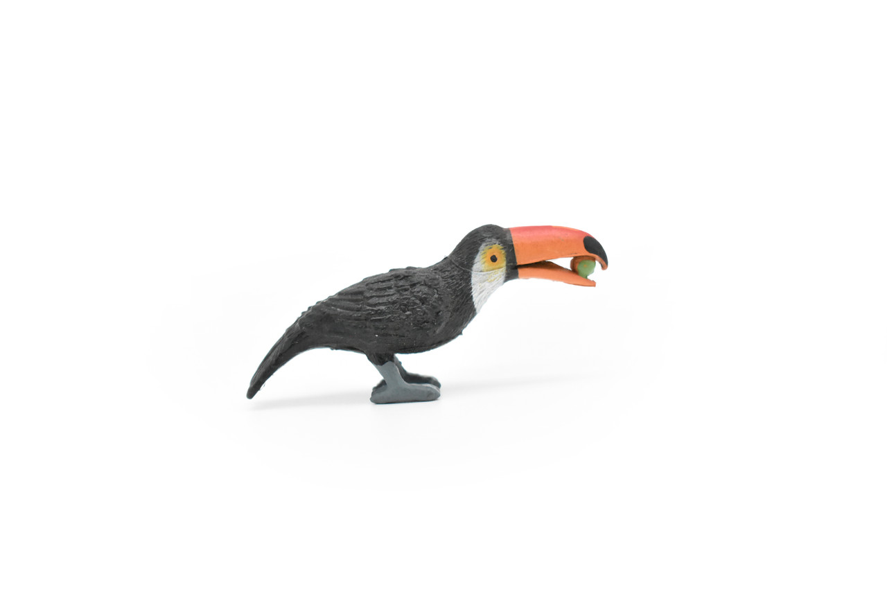 Toucan with Nut, Bird, Very Nice Plastic Reproduction, Hand Painted    2 1/2"     F3018 B109