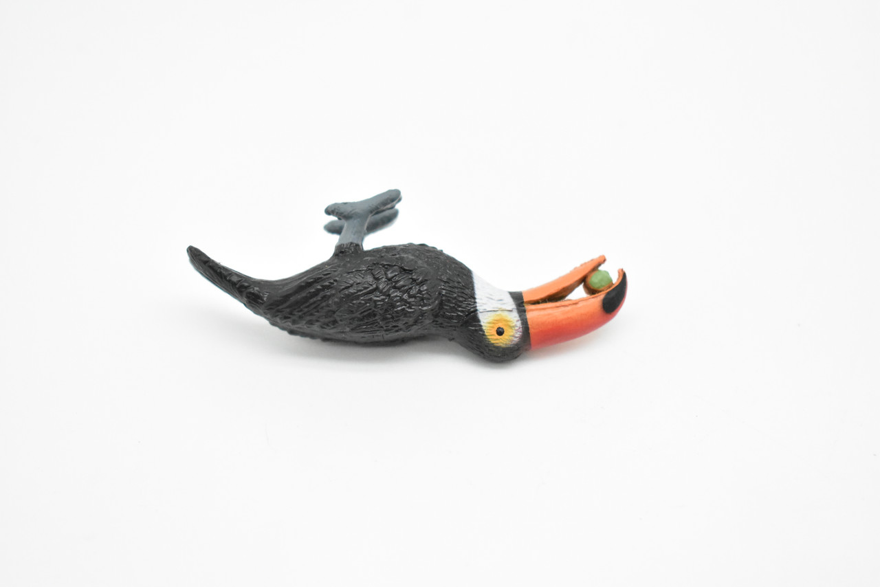 Toucan with Nut, Bird, Very Nice Plastic Reproduction, Hand Painted    2 1/2"     F3018 B109