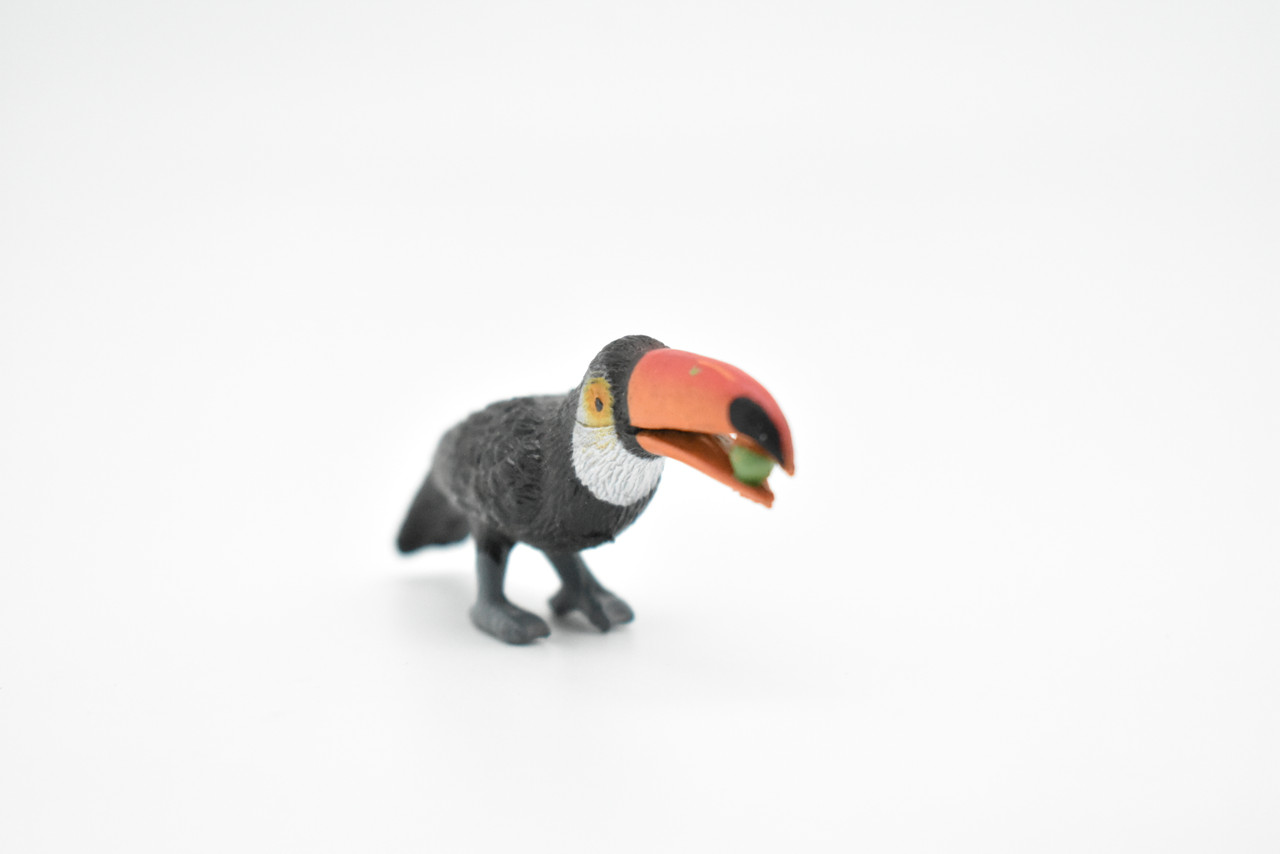 Toucan with Nut, Bird, Very Nice Plastic Reproduction, Hand Painted    2 1/2"     F3018 B109