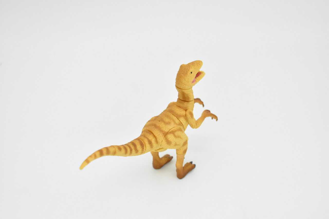 Deinonychus Dinosaur, 3D Puzzle Very Nice Plastic Replica   4 1/2" long - F3033 B333