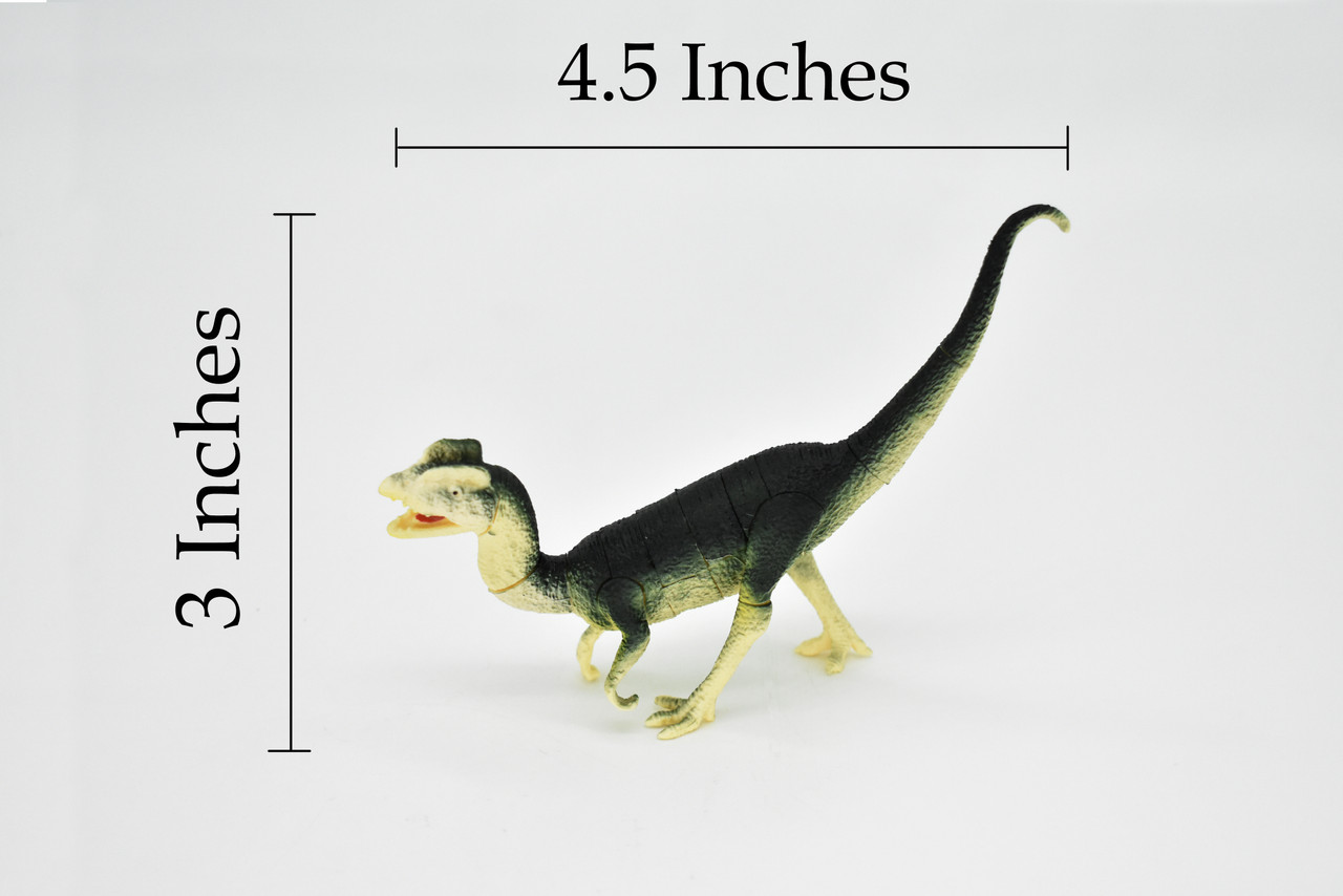 Dilophosaurus Dinosaur, 3D Puzzle Very Nice Plastic Replica   4 1/2 long  -  F3036 B333