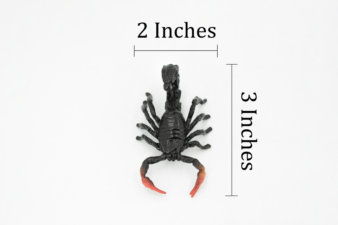 Fat-tailed Scorpion Detailed Plastic Replica 3 inches long - F3123 B225