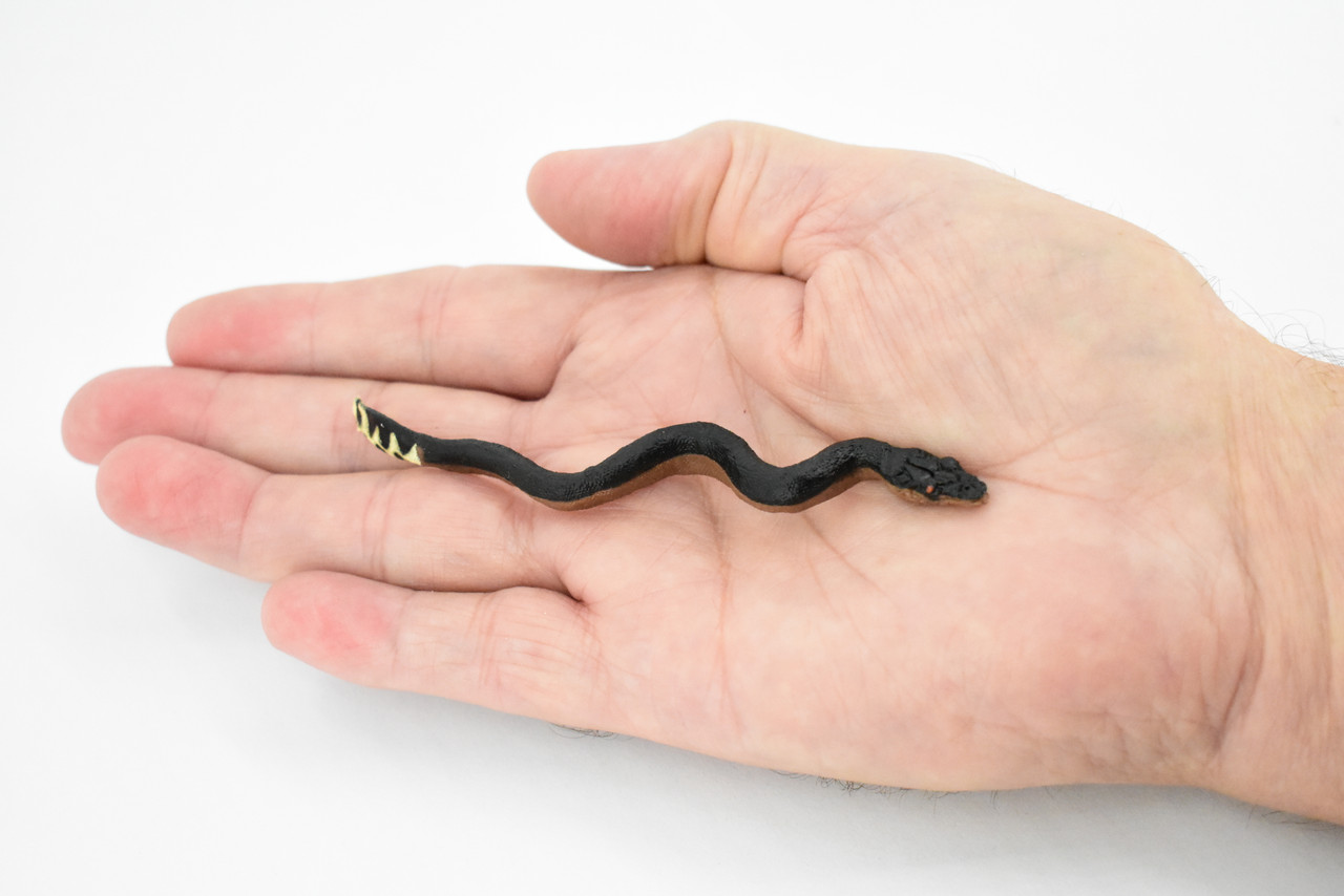 Sea Snake, Yellow Bellied, Very Nice Rubber Reptile, Educational, Hand Painted, Realistic, Replica, Toys, Kids, Gift,    4 1/2 Inches.