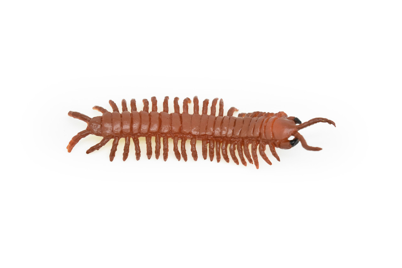 Centipede, Giant, Red, Very Nice Rubber Insect, Educational, Hand Painted, Realistic, Replica, Toys, Kids, Gift,   3 1/2 Inches.