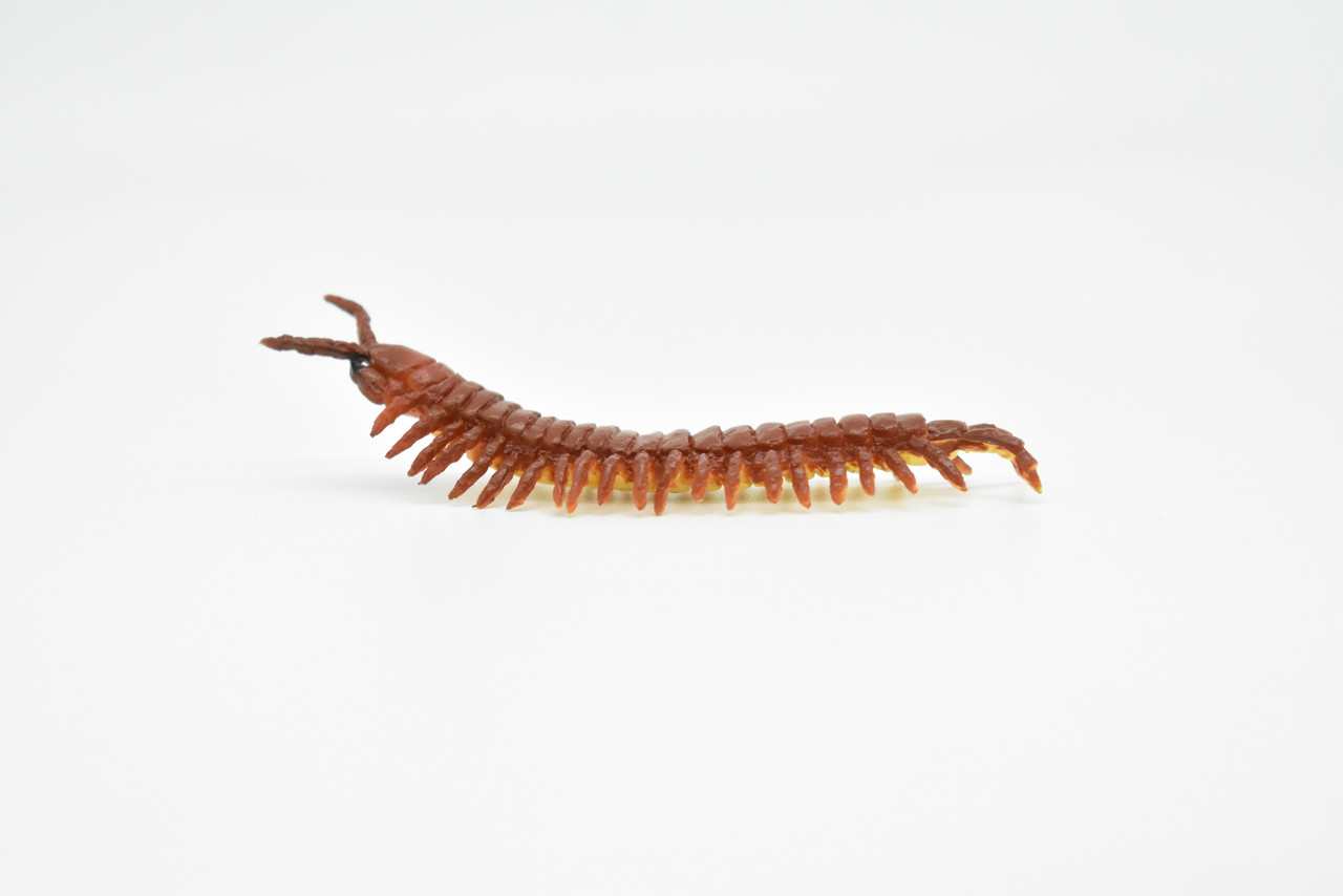 Centipede, Giant, Red, Very Nice Rubber Insect, Educational, Hand Painted, Realistic, Replica, Toys, Kids, Gift,   3 1/2 Inches.