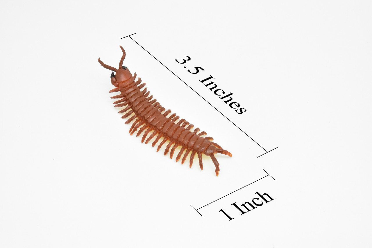 Centipede, Giant, Red, Very Nice Rubber Insect, Educational, Hand Painted, Realistic, Replica, Toys, Kids, Gift,   3 1/2 Inches.