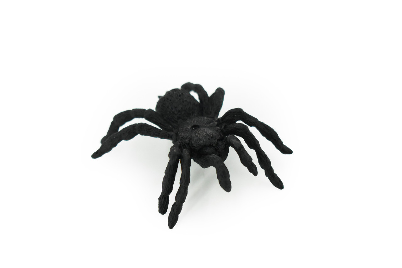Tarantula, Spider, Black, Very Nice Rubber Insect, Educational, Hand Painted, Realistic, Replica, Toys, Kids, Gift,   2 1/2 Inches. 