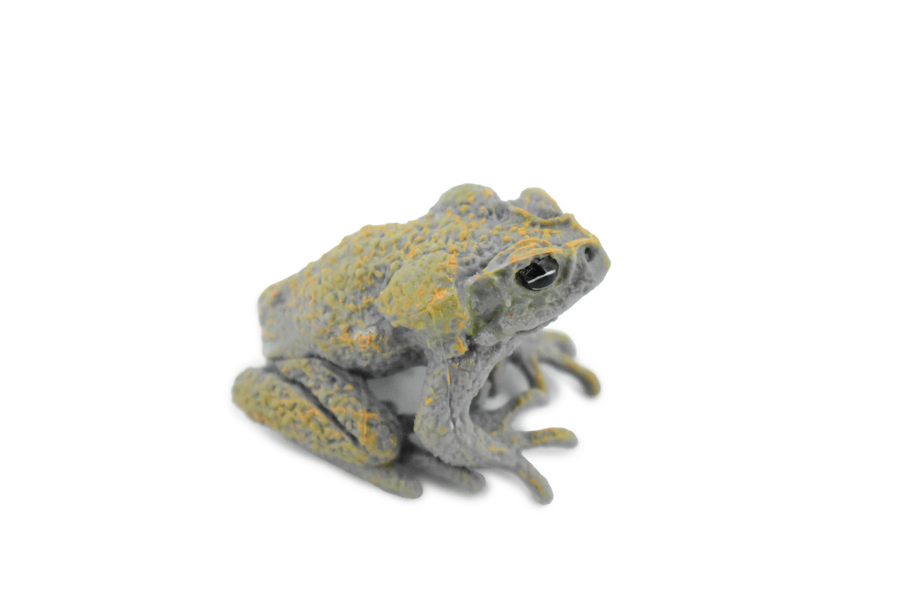 Toad, Cane Toad, Frog, Museum Quality, Plastic Reptile, Educational, Realistic, Hand Painted, Figure, Lifelike, Model, Figurine, Replica, Gift,    2 1/2"     F3129 B225
