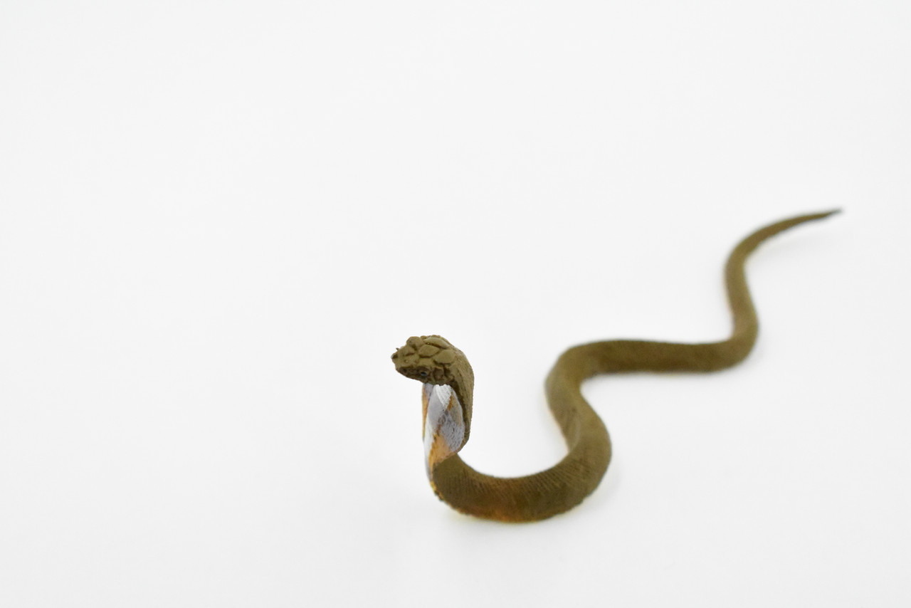 Common Indian Cobra, Rubber Snake, Reptile, Educational, Realistic, Hand Painted, Figure, Lifelike, Toys, Kids, Gift,     4 Inches.    F3130 B225