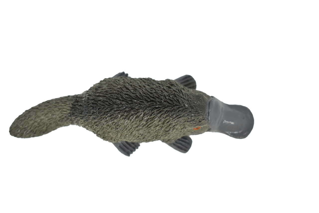 Platypus, Life Like Plastic Replica 4 inches long - F320 B111