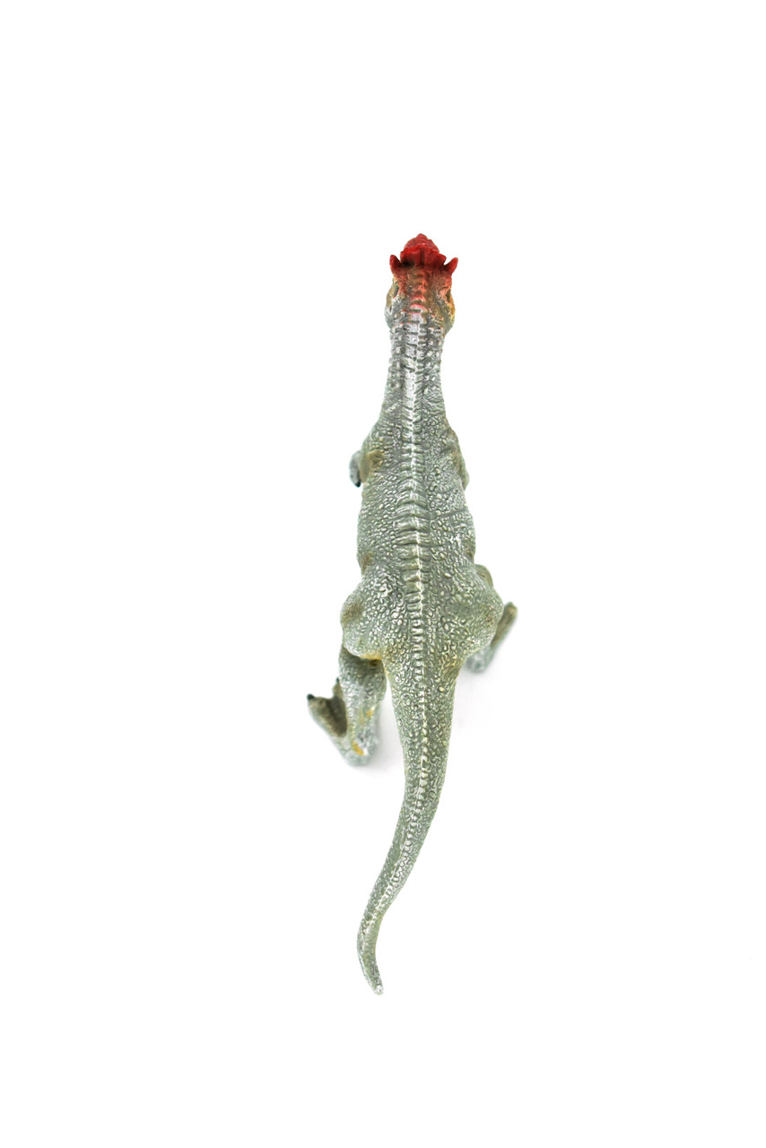 Cryolophosaurus Dinosaur, Museum Quality Plastic Replica  6"  - F3248 B144