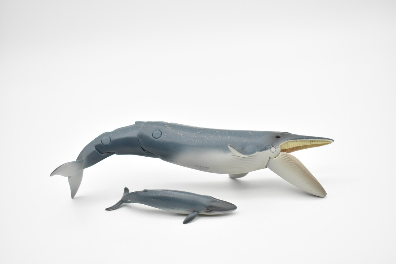 Blue Whale with Baby, Posable Moving Parts, Realistic Toy Model Plastic Replica Animal, Kids Educational Gift 6"  F3278 B223