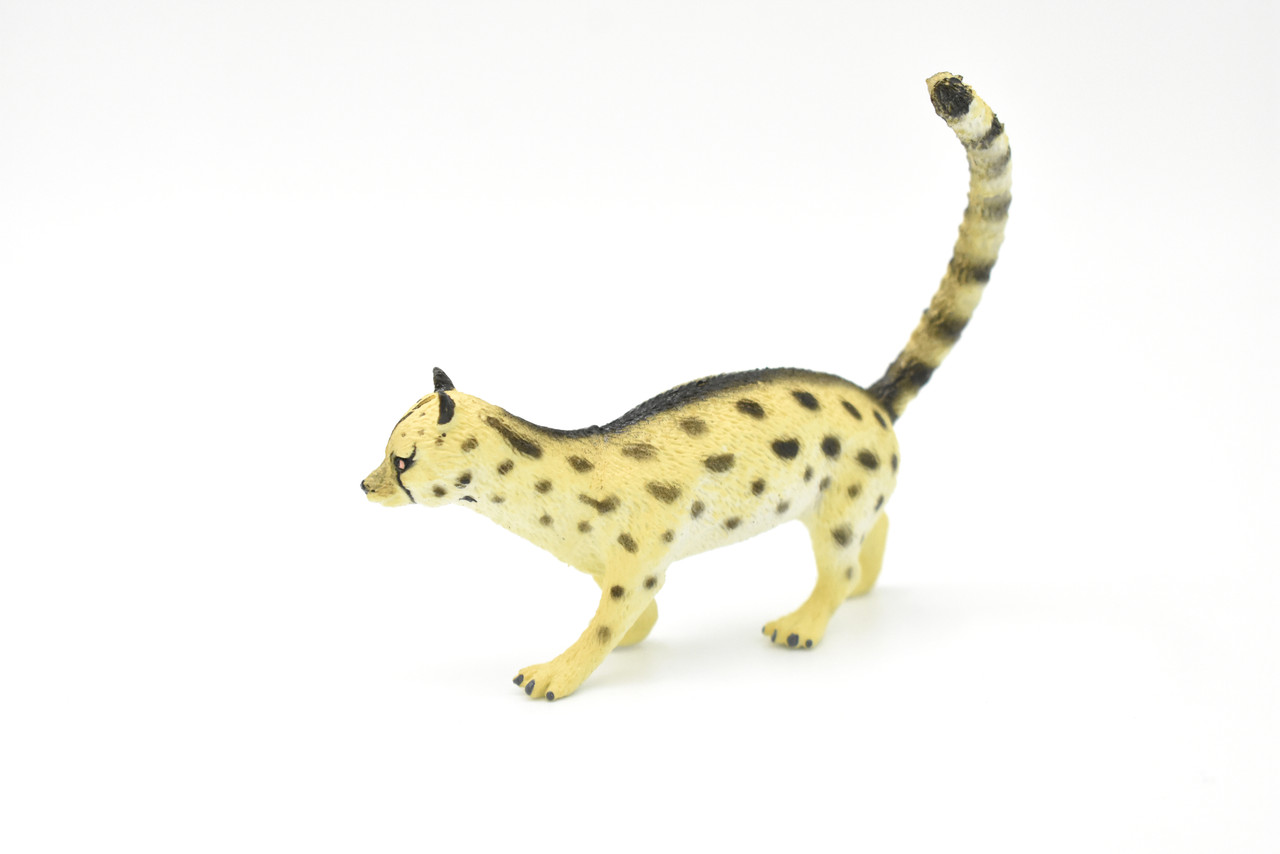 Genet Cat, Spotted Very Nice Plastic Replica   3"  -  F327 B110