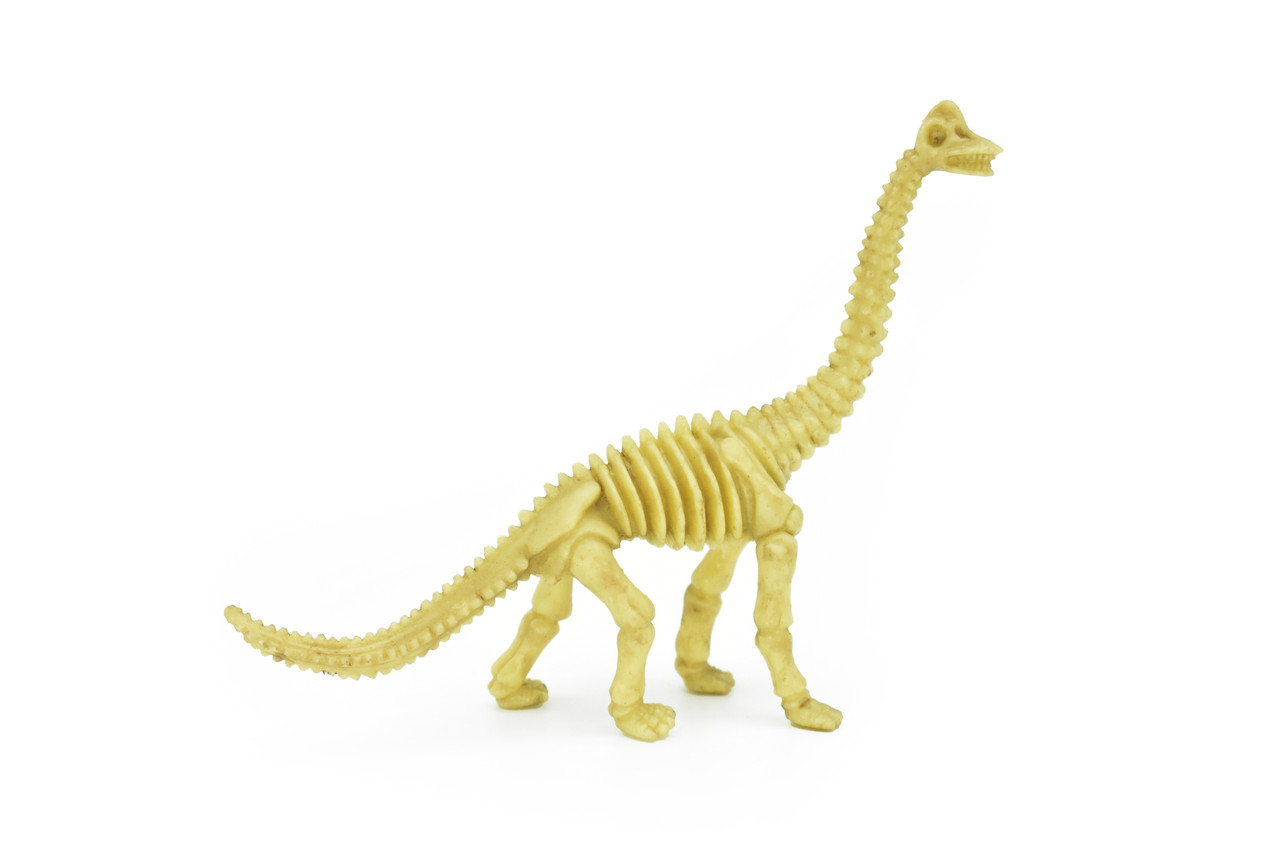 Brontosaurus Dinosaur, Skeleton, Very Nice Plastic Replica    6" -   F3286 B61