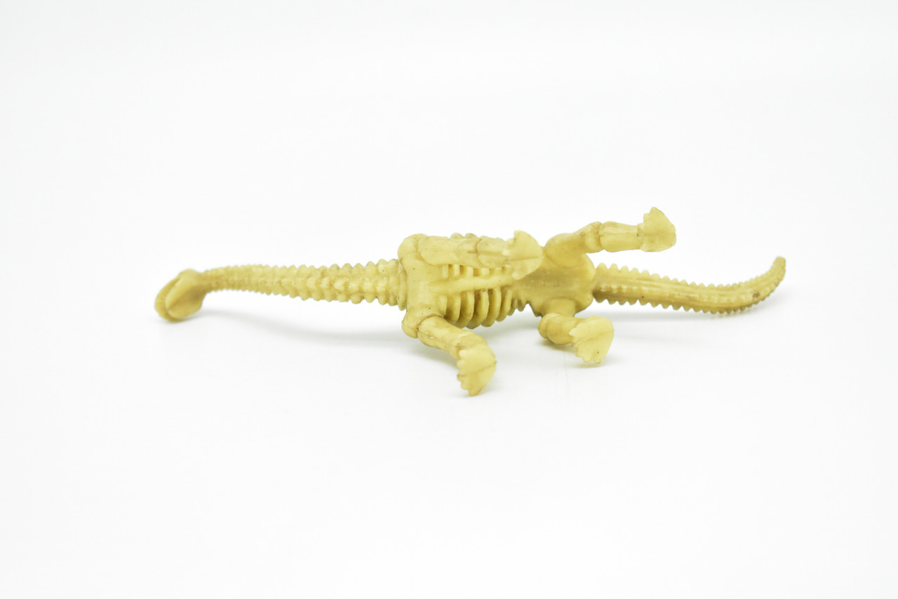 Brontosaurus Dinosaur, Skeleton, Very Nice Plastic Replica    6" -   F3286 B61