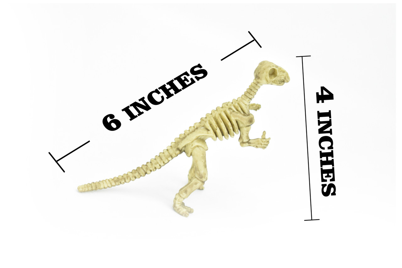 Iguanodon Dinosaur, Skeleton, Very Nice Plastic Replica   6"     F3288 B61