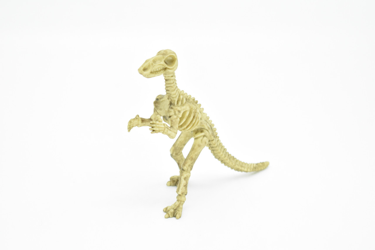 Iguanodon Dinosaur, Skeleton, Very Nice Plastic Replica   6"     F3288 B61