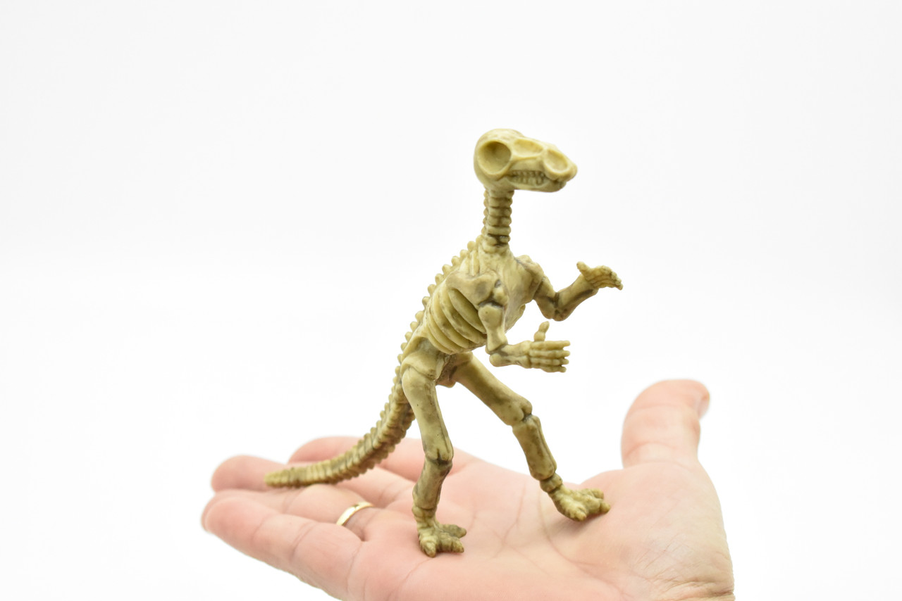 Iguanodon Dinosaur, Skeleton, Very Nice Plastic Replica   6"     F3288 B61
