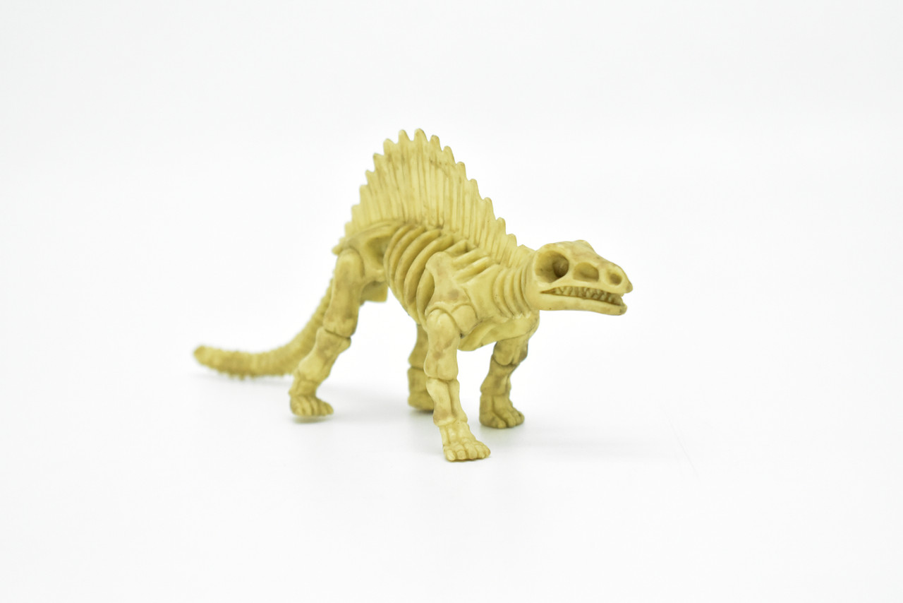 Dimetrodon Dinosaur, Skeleton, Very Nice Plastic Replica    5 1/2"   -   F3292 B66